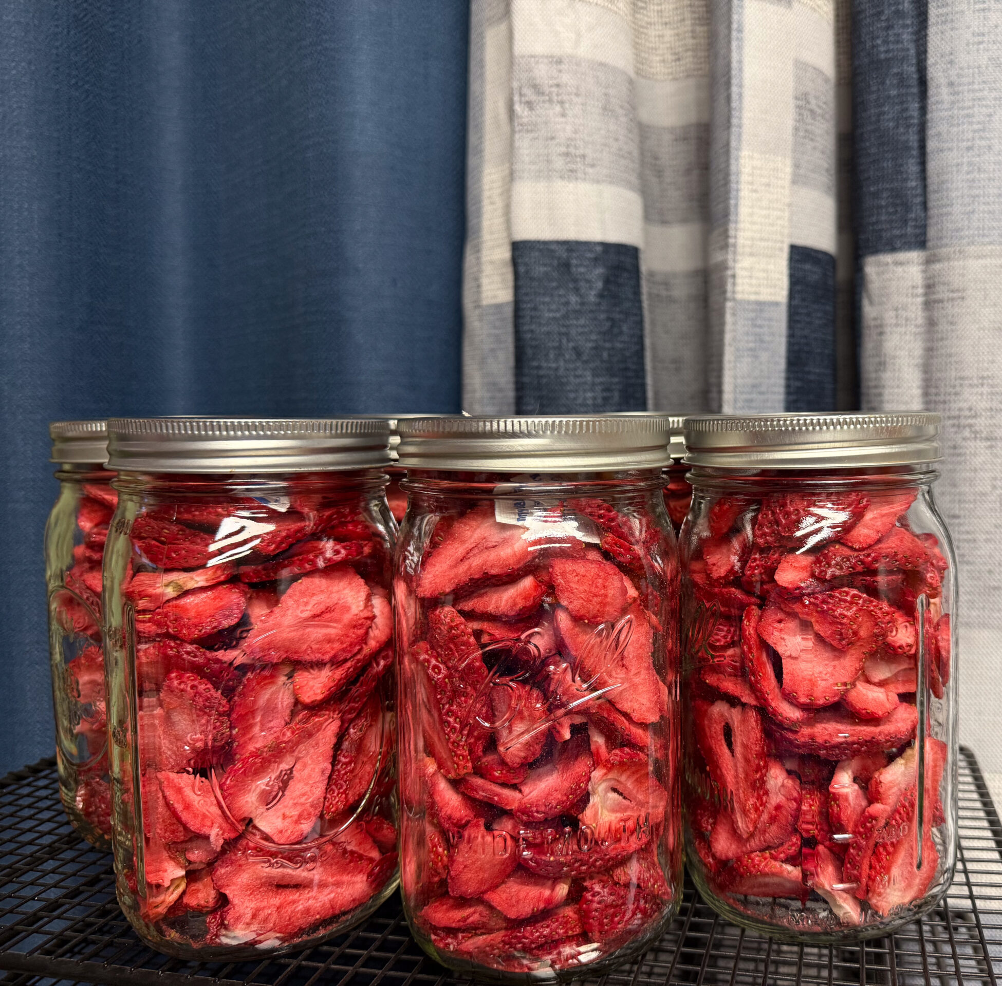 Freeze Dried Strawberries
